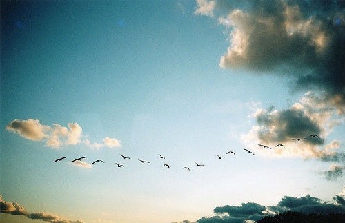 南京一号家居怎么样