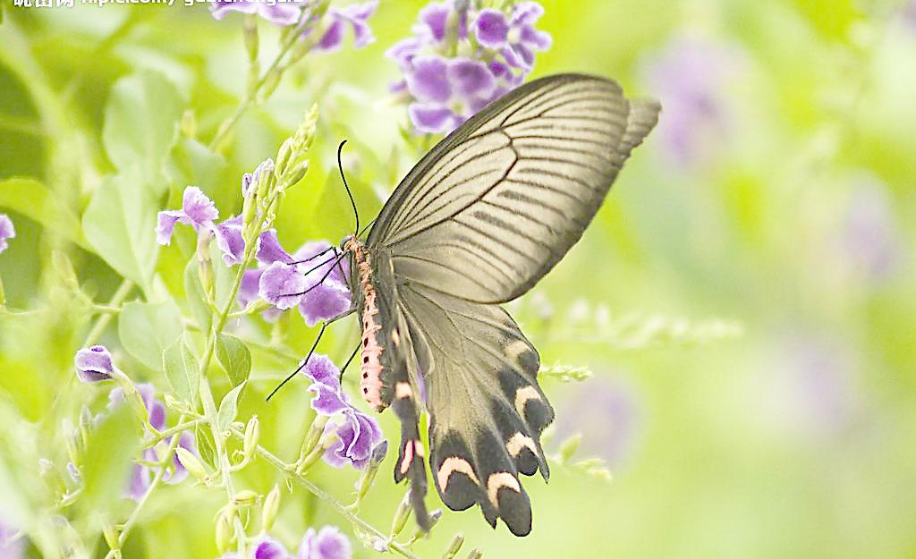 宝宝吃鸡蛋很简单但误区却很多