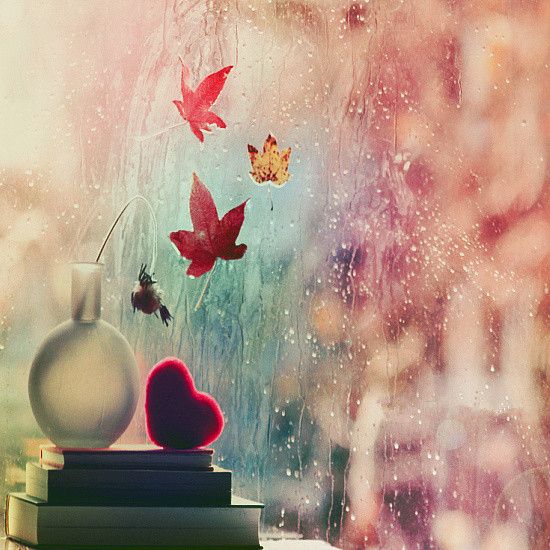 武汉鸿图装饰法人代表