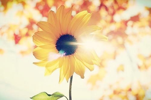 装修墙验收标准